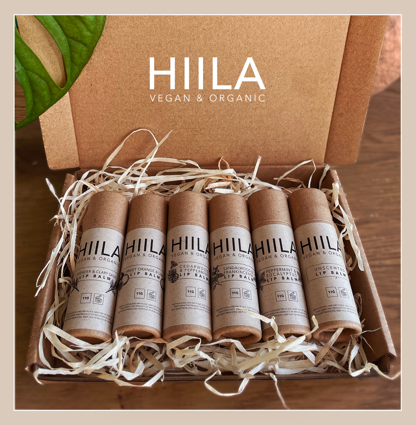 Organic, Vegan, Natural Lip Balm gift box of 6
